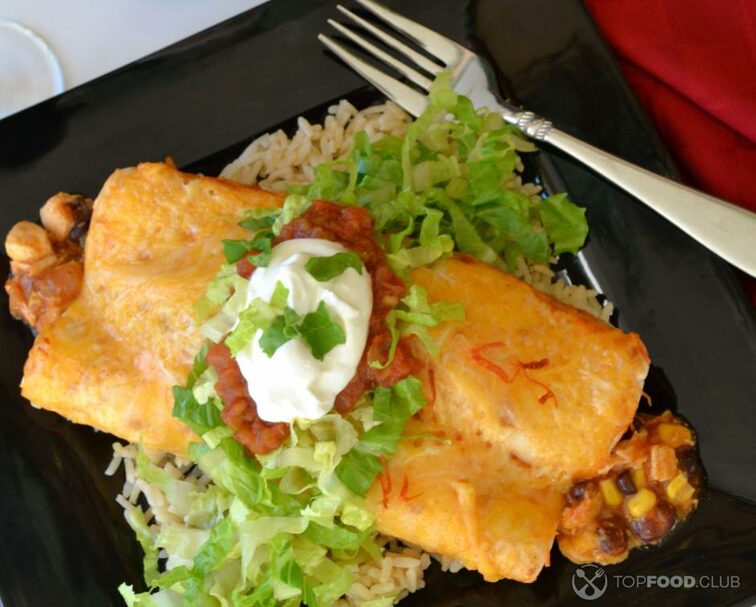 2022-12-09-832k0d-overhead-view-of-enchiladas-made-with-black-beans-2022-11-14-03-34-00-utc-1