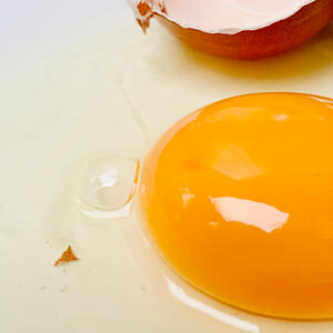 Boil the milk and add the yolk