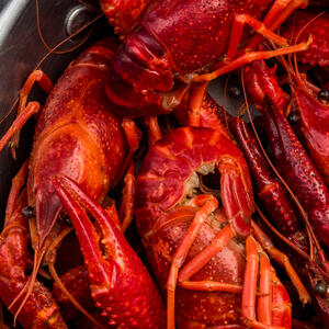 Boil the crawfish