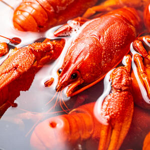 Chop the fish and crawfish