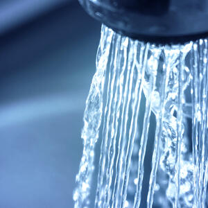 Prepare the vegetables