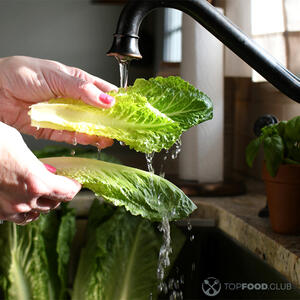 wash lettuce