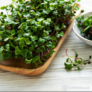 microgreens