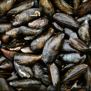 mussels