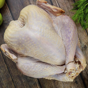 raw turkey