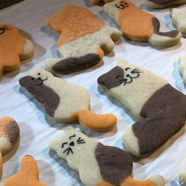 Cat shaped cookies