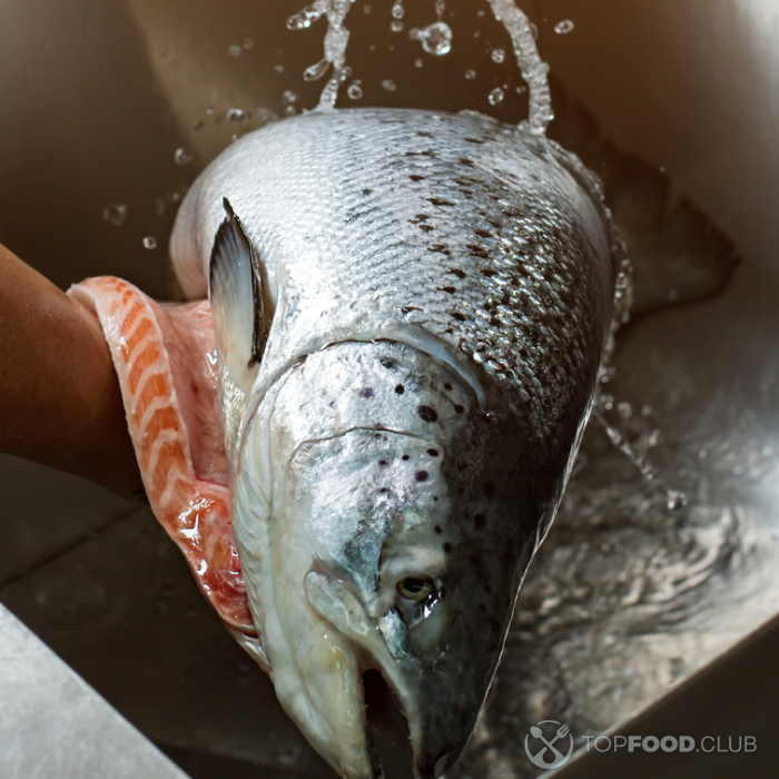 Рыба, запеченная в духовке под сметаной